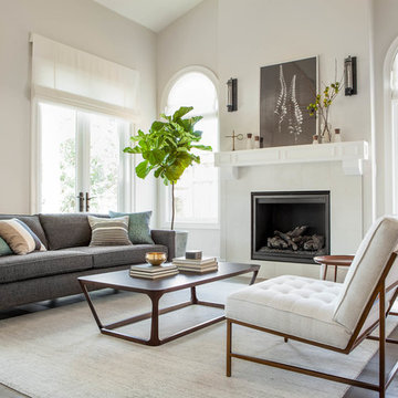 Transitional Living Room