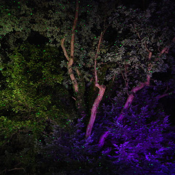 landscape garden lighting, pond lighting, garden party