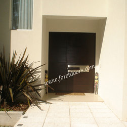 Modern contemporary entry doors - Front Doors