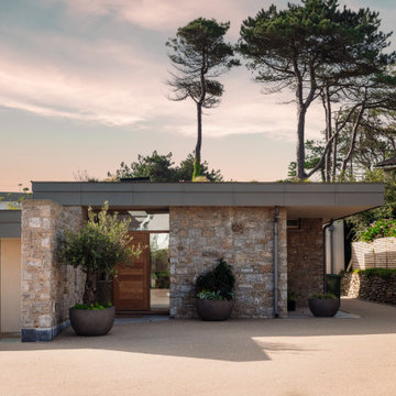 Seahorses, Maenporth, Cornwall