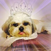 Heather Platt's photo