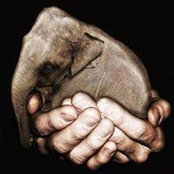 Lisa Darin's photo