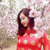 Anh Lan's photo