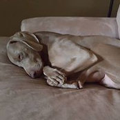 Susie Adams's photo