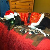 Jody Rinker's photo