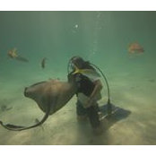 Gary Iacona's photo