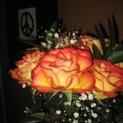 Foto von Linda Sooley