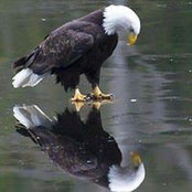 Shirlee Mapes's photo