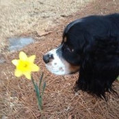 Kim Gilley's photo