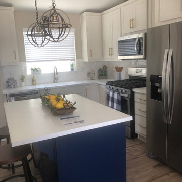 Single Family Home ADU's