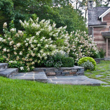 jennifer_halpern5's ideas