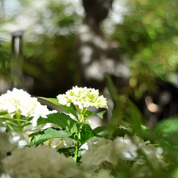 JARDIN JAPONNAIS ESPRIT ZEN