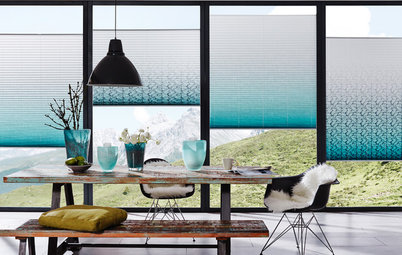 Windows of Opportunity: A Buyer's Guide to Blinds