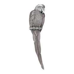 Tropical Collection by Notting Hill Decorative Hardware - Cabinet And Drawer Handle Pulls