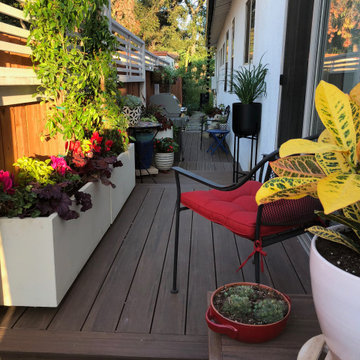 Sideyard Transformation Before & After