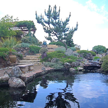 Santa Rosa Hilltop Home
