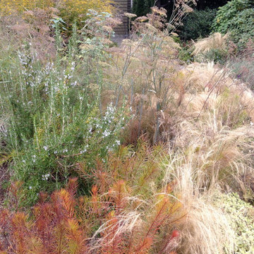 Kitsilano Front Garden