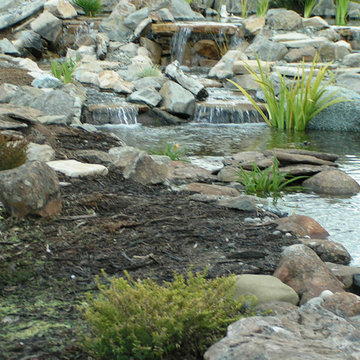 Landscape Projects
