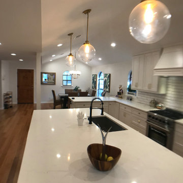 Kitchen/ Dining Room Update in conservation district