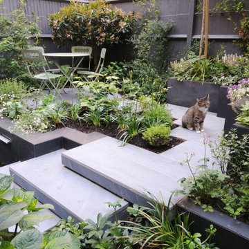 Courtyard Garden