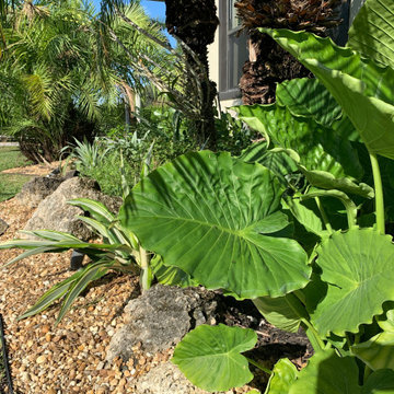 Tropical appeal for equestrian farm entrance