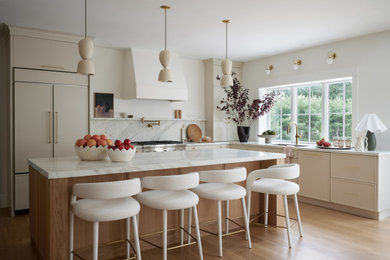 Kitchen - transitional kitchen idea in Boston