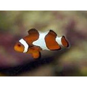 Miriam Johnson's photo