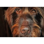 Kristin Halliwill's photo
