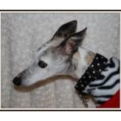 Sara Murphy's photo