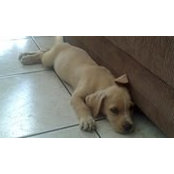 Ryan Smith's photo