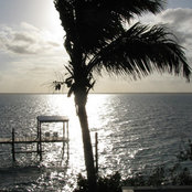 Sarah Gerber's photo