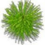 Danielle Wildstein's photo