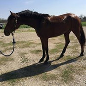 Morgan Kennedy's photo