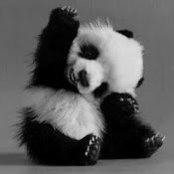 Susan Chiang's photo