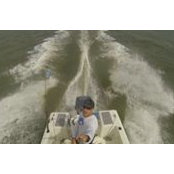 Sam Eufemia's photo