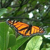Emily Brecka's photo