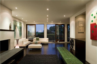 Inspiration for a modern living room remodel in San Francisco