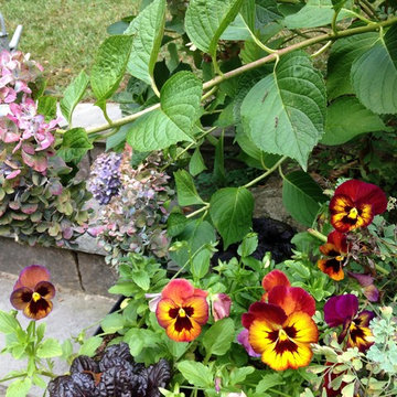Wall garden