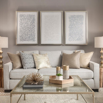 Living Room - Transitional