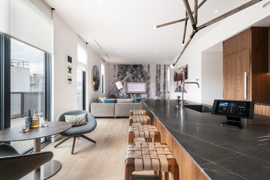 Example of a minimalist kitchen design in Other
