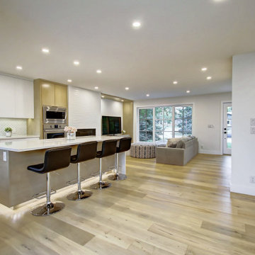 1960s Haysboro Design and Renovation project