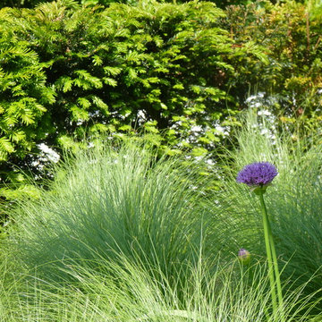 Contemporary garden in Veenendaal