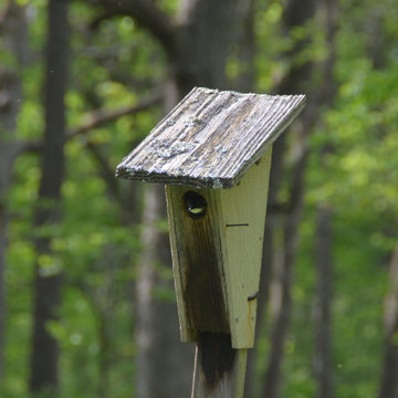 Eagle Residence