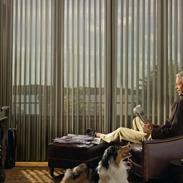 Window Sheers and Shadings