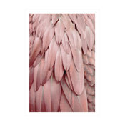 "Parrot Feathers Pastel" in Print, White Frame, A3