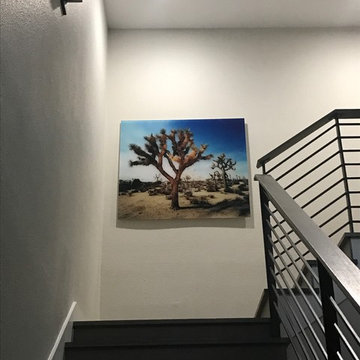 Joshua Tree National Park printed on Acrylic.