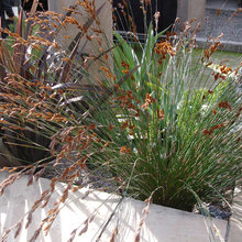 Patio Ideas