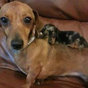 Peggy Ridley's photo