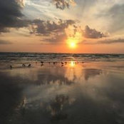 Dorothea Buckingham's photo