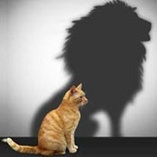 Photo de Lilly Simeoni
